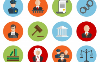 Procedimiento de Visitas o Inspeccion REV. 1.1